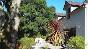 Ein modernes Haus mit Garten, heller Fassade und einem großen Baum.