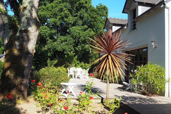 テラス / パティオ