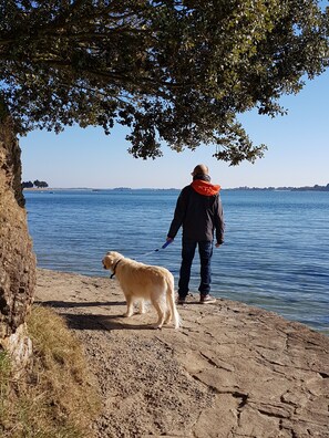 Plage à proximité