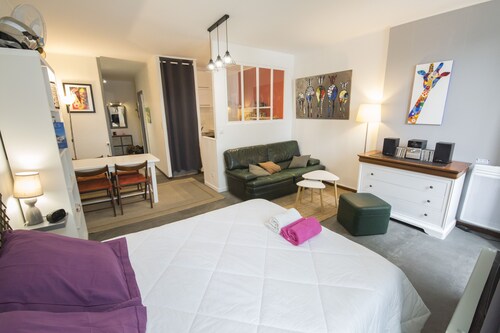 Large studio 36m2 facing south and bordering Place Marcadieu 