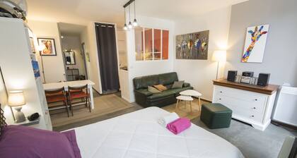 Large studio 36m2 facing south and bordering Place Marcadieu