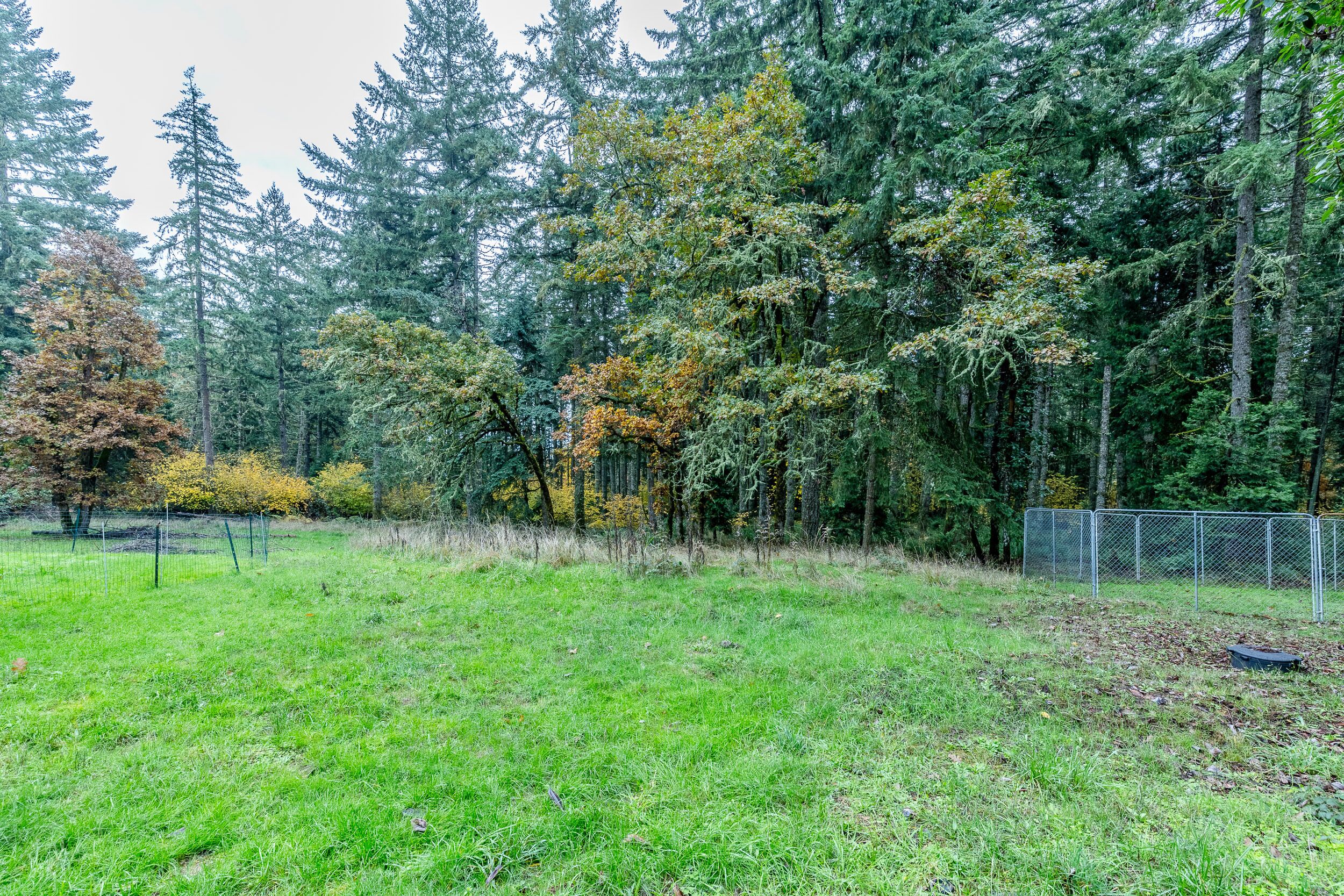A grassy field with a fence and trees in the background.
