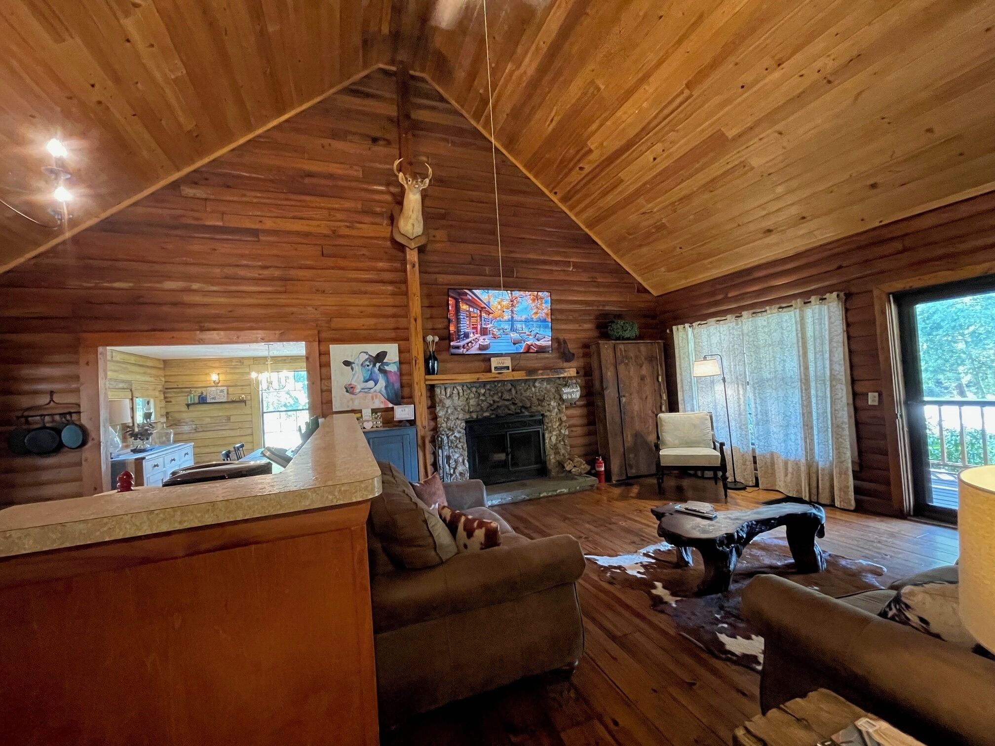 Smart TV, fireplace, books, stereo