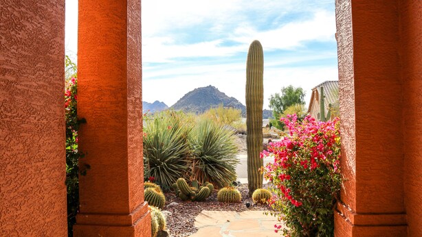 Un jardin agrémenté de cactus et de plantes à fleurs, un sentier en pierre et une montagne en arrière-plan.