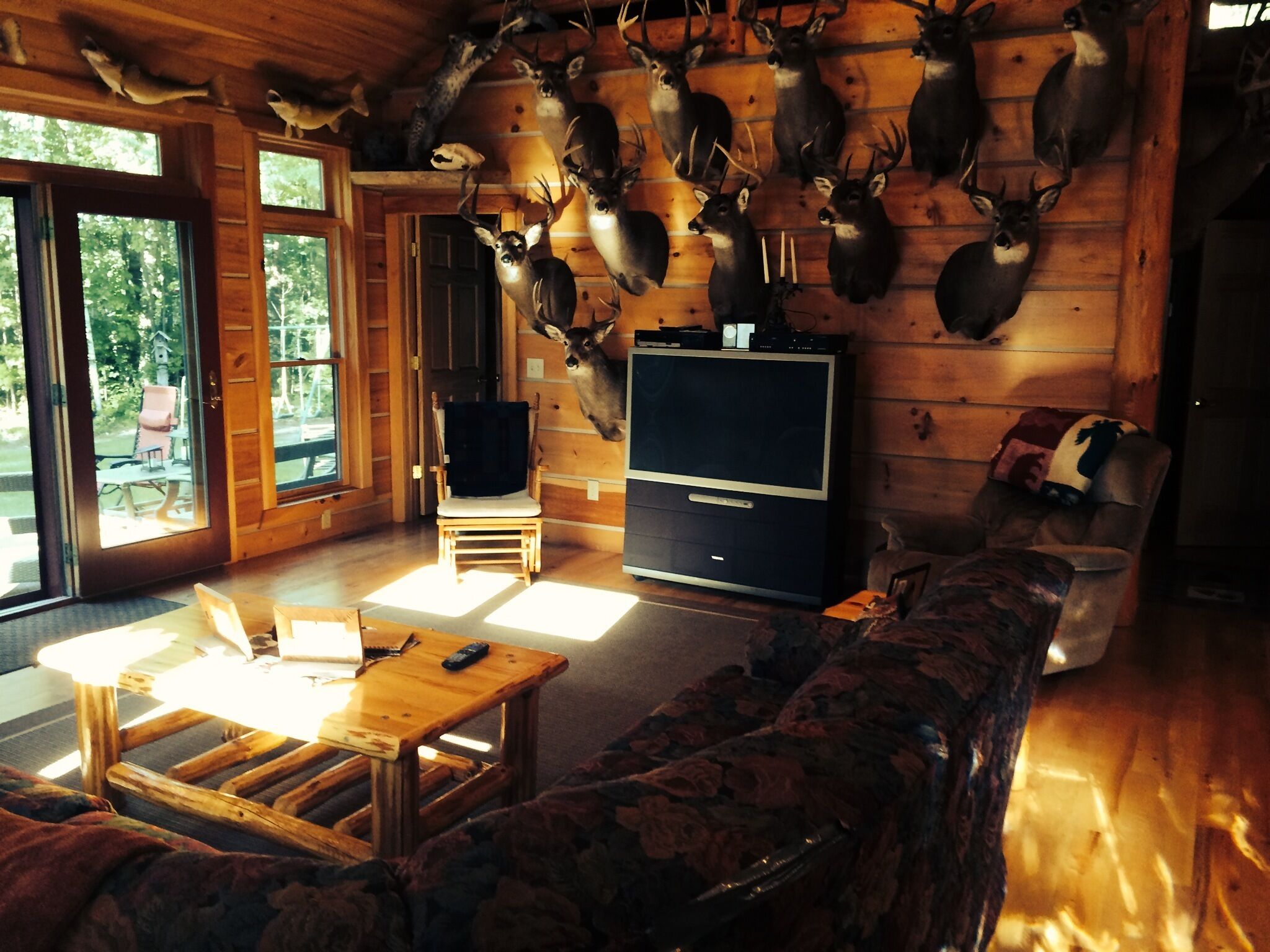 Private Cabin with Sand Beach on the Chippewa Flowage - Great Fishing!