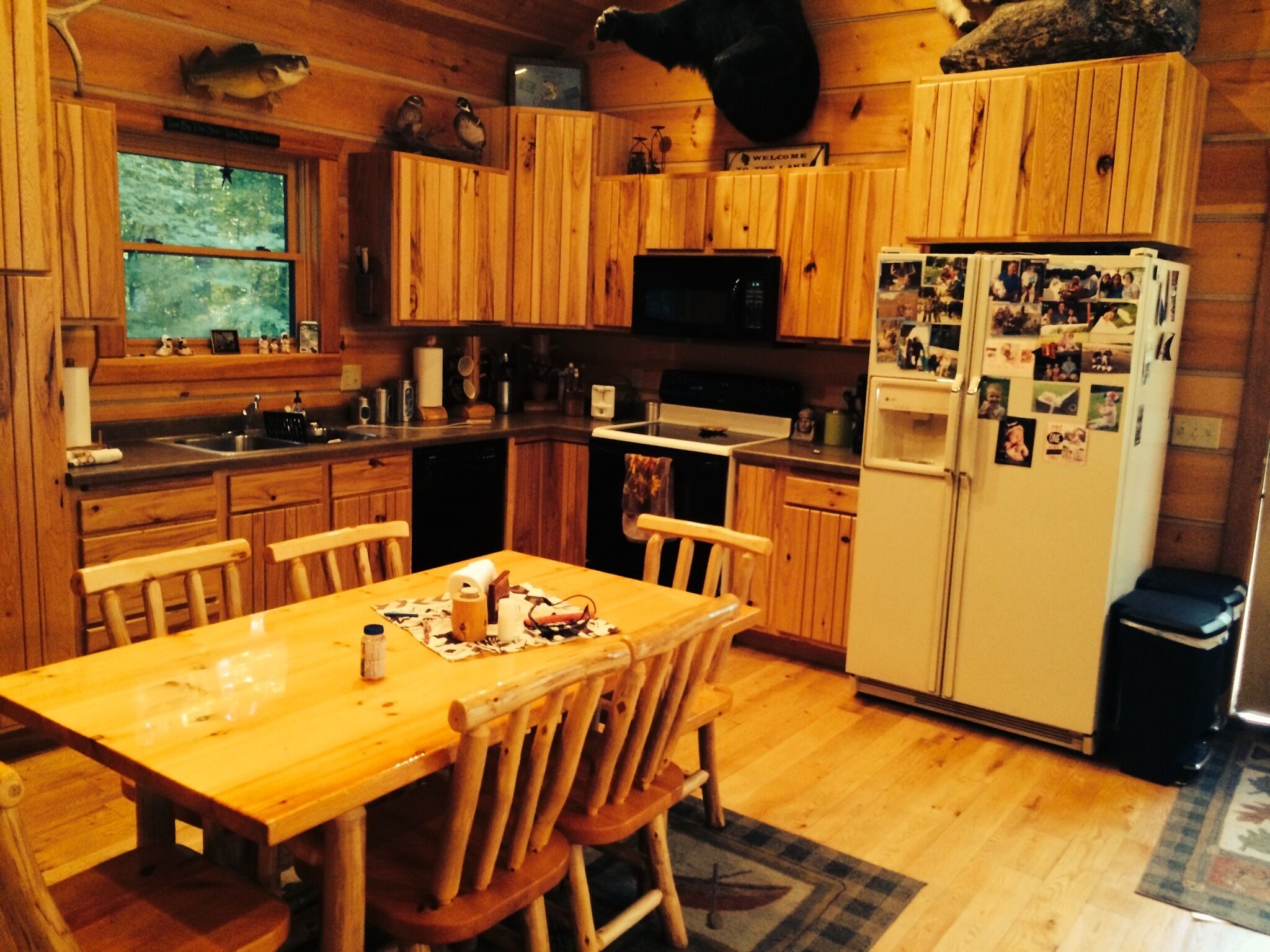Private Cabin with Sand Beach on the Chippewa Flowage - Great Fishing!