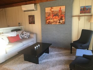 TV connectée, cheminée, jeux vidéo, lecteur de DVD