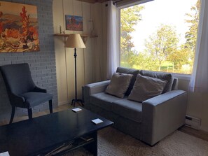 TV connectée, cheminée, jeux vidéo, lecteur de DVD