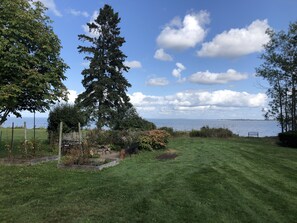 A grassy area with a bench, a tall tree, and a view of the water. - Beautiful, private oceanfront cottage on the Bay of Fundy (Port Williams)