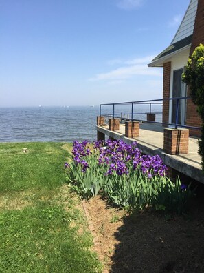 A house with a balcony overlooking a body of water, featuring a grassy area with purple flowers. - Chesapeake Bay single family home (Annapolis)