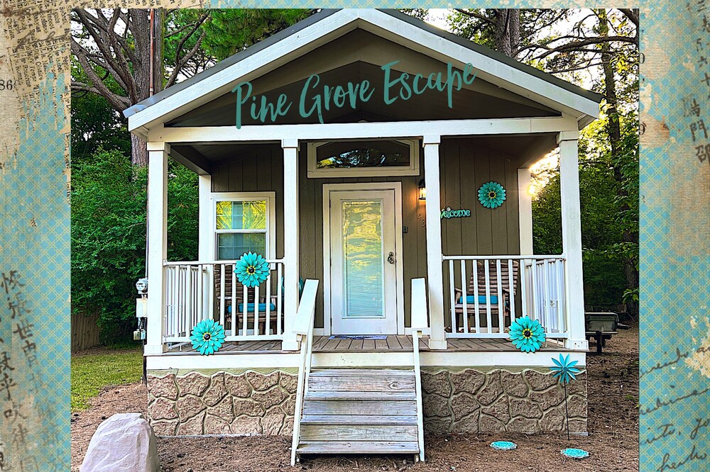 Pine Grove Escape !!! 🌲🌲🌲