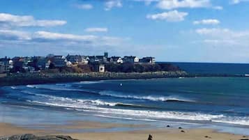 Plage à proximité, chaises longues, serviettes de plage