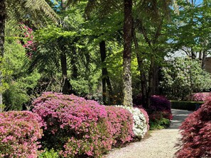 A pathway surrounded by lush greenery and flowering shrubs.