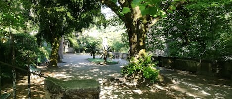 Terrein van de accommodatie
