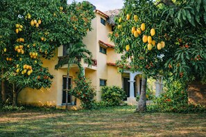 Exterior - Acogedora palapa privada cerca de la playa. (Puerto Escondido)