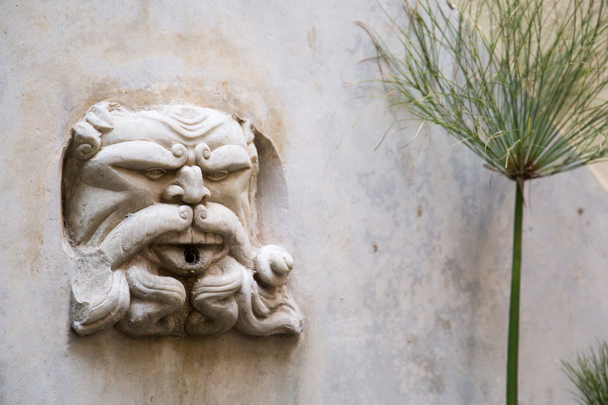 Photo - L' Hôtellerie Easy Suites