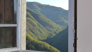 A room with a window offering a view of a forested hillside.