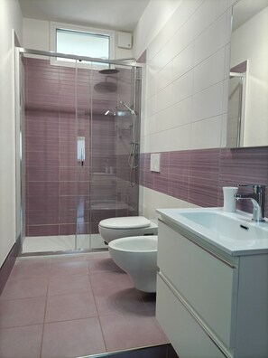 Shower, hair dryer, bidet, towels