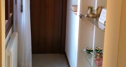 Small apartment 50 m from St. Mark's Square CIN: IT027042C13EZVRCDO
