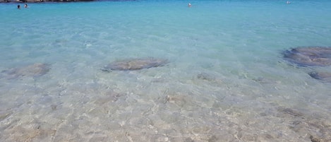 Platja a a prop, gandules de platja i tovalloles de platja