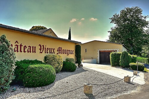 Château Vieux Mougnac - Holiday house near Saint-Emilion Bordeaux Vinexpo