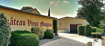 Château Vieux Mougnac - Maison de vacances proche Saint-Emilion 