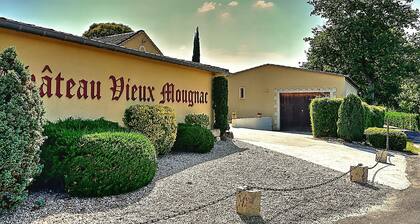 ChĂąteau Vieux Mougnac - Maison de vacances proche Saint-Emilion