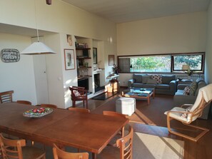 TV, fireplace, books - Aveleira House, Ponte de Lima (Ponte d eLima)