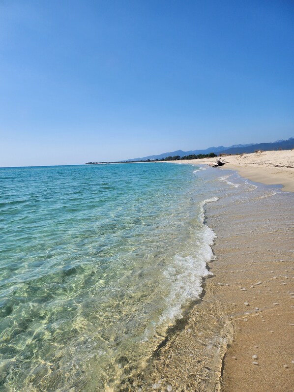 Beach nearby - Comfortable garden level⭐⭐⭐ between sea and mountains (Prunelli-di-Fiumorbo)