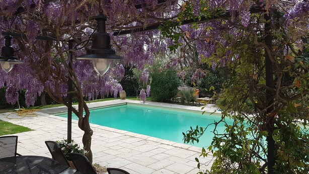 Ein Poolbereich mit einer Pergola, die in violette Glyzinien überwuchert ist, einem klaren blauen Pool und Gartenmöbeln.