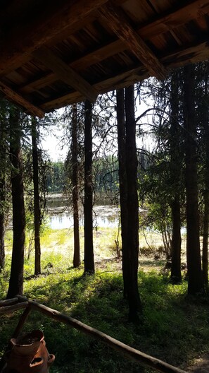 Property grounds - "Loon's Nest" rustic cabin hidden amongst the pines (Condon)