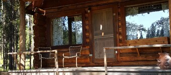  "Loon's Nest" maalaismainen hytti, joka on kätketty mäntyjen keskelle 