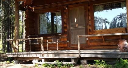 "Loon's Nest" rustic cabin hidden amongst the pines