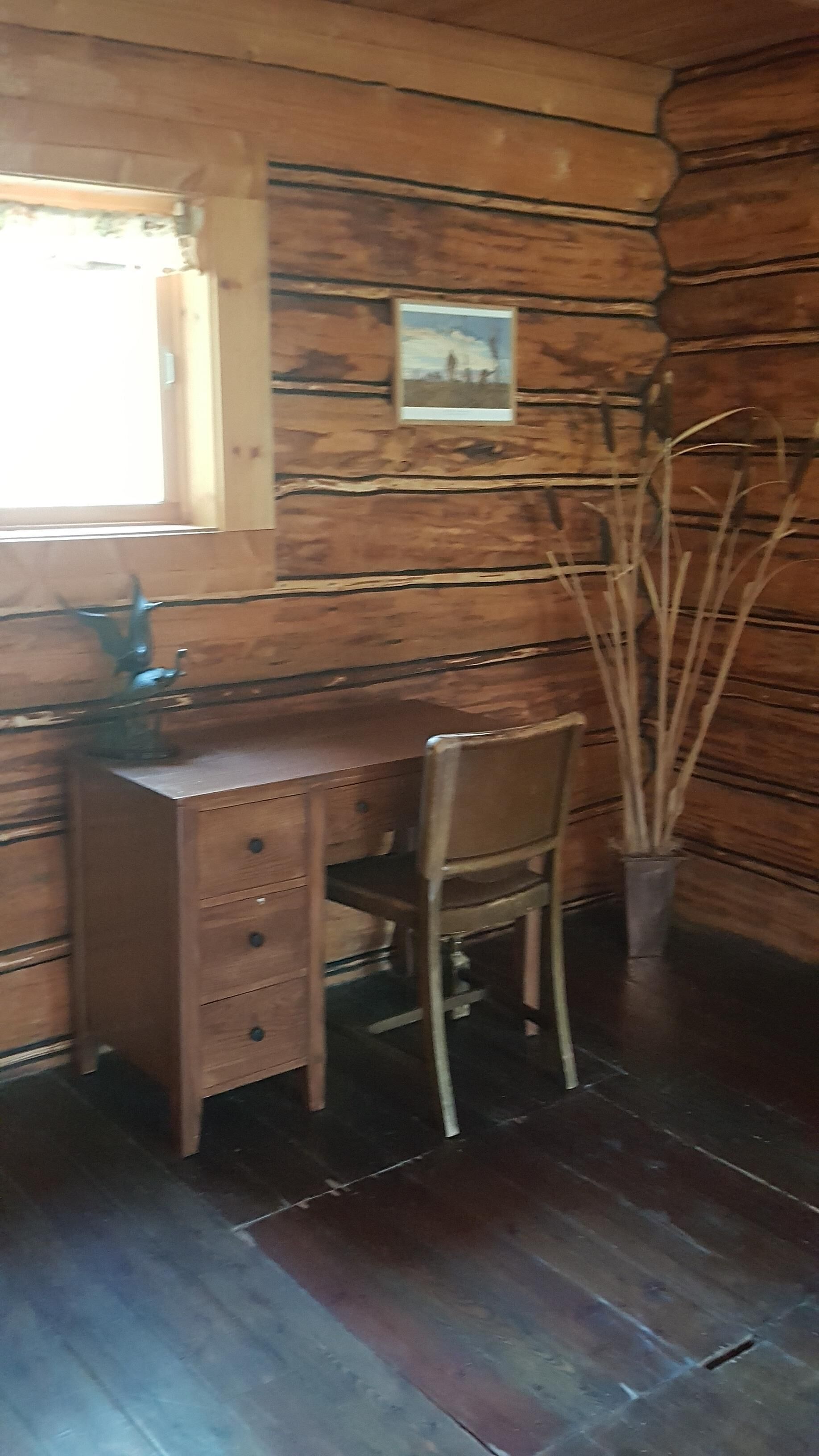  "Loon's Nest" rustic cabin hidden amongst the pines 