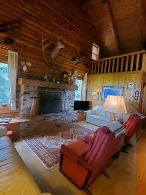 Smart TV, chimenea, libros