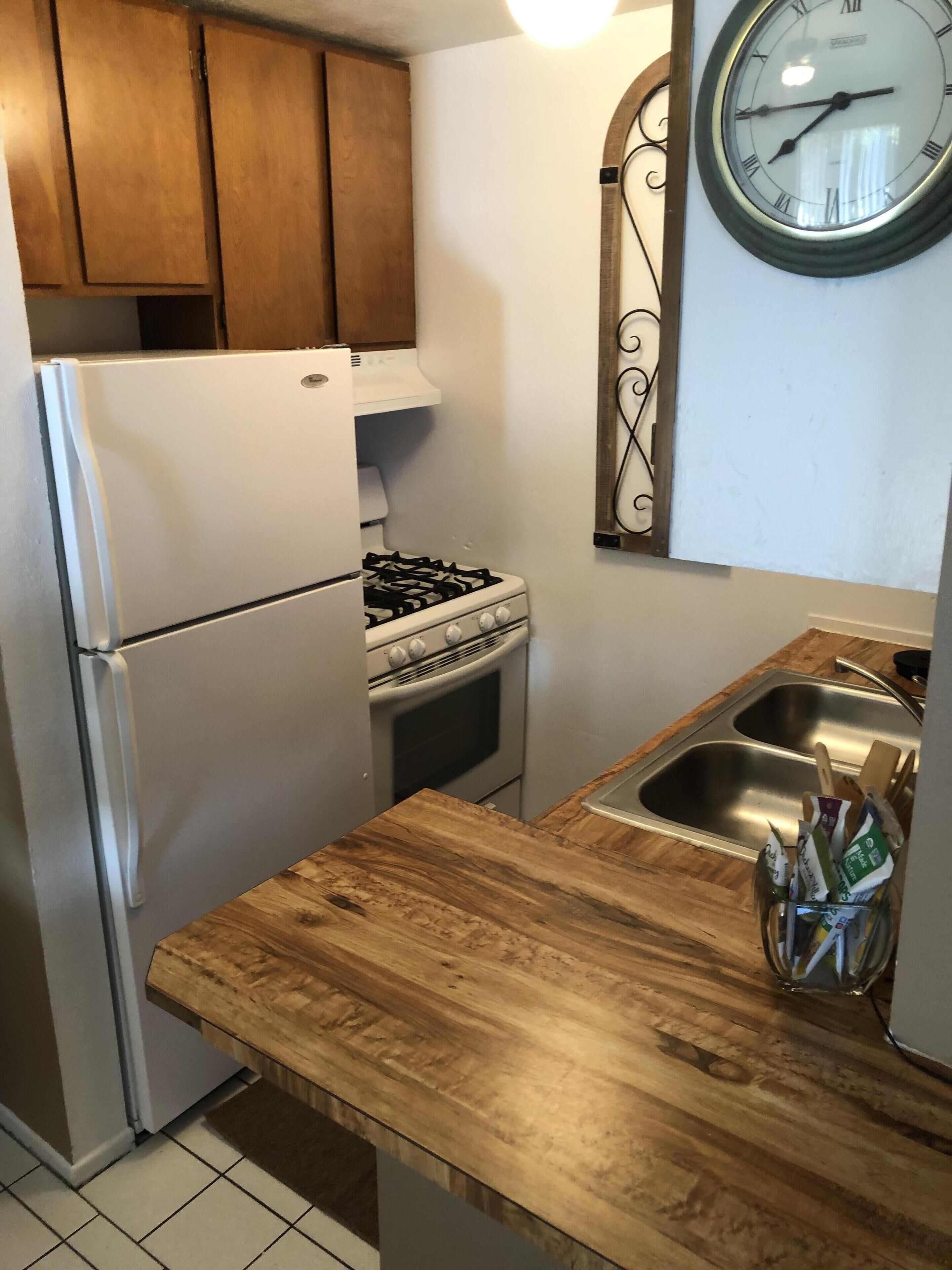 tortoise rock retreat