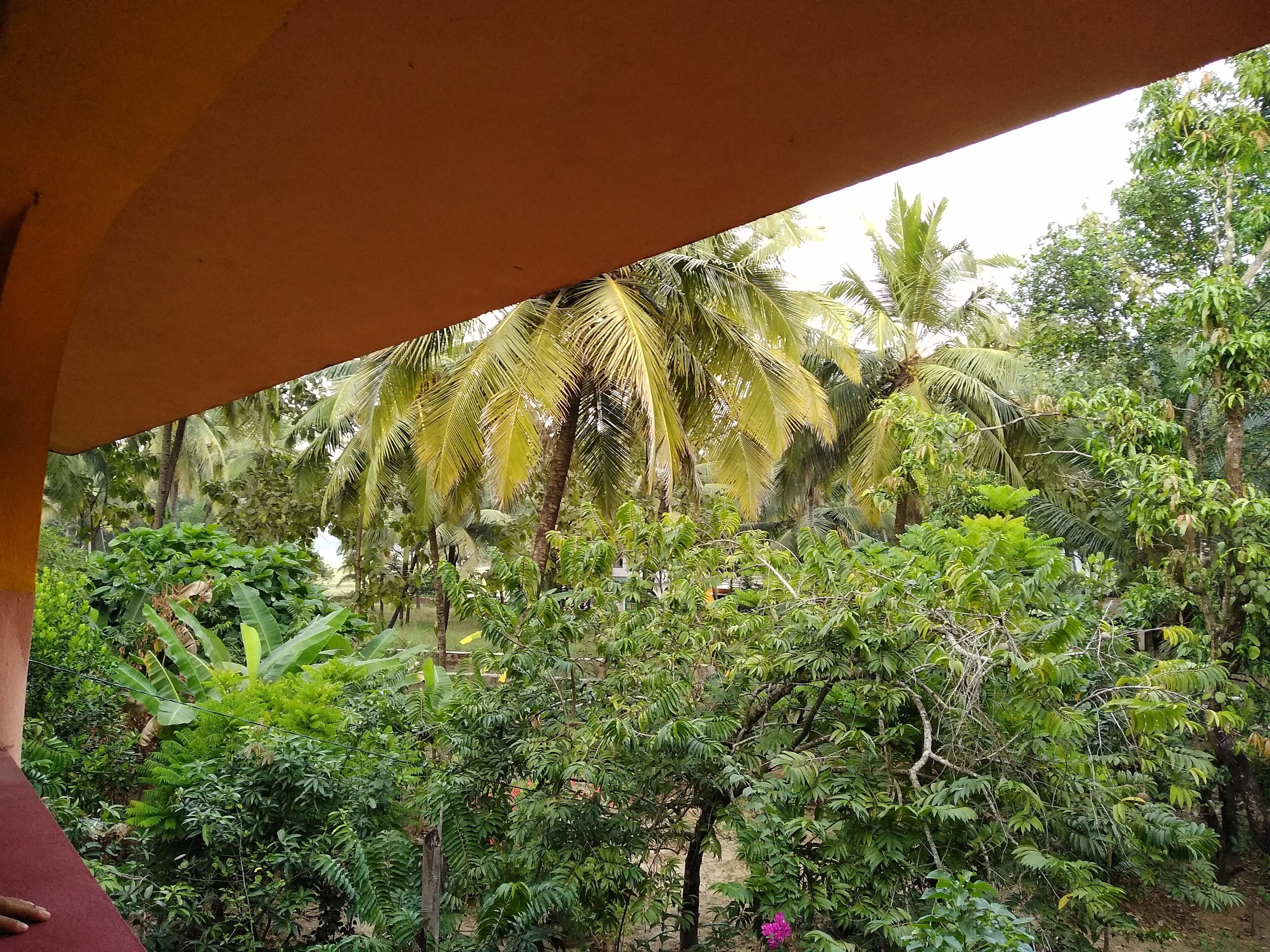 Room with a view in Per-Seraulim, Colva