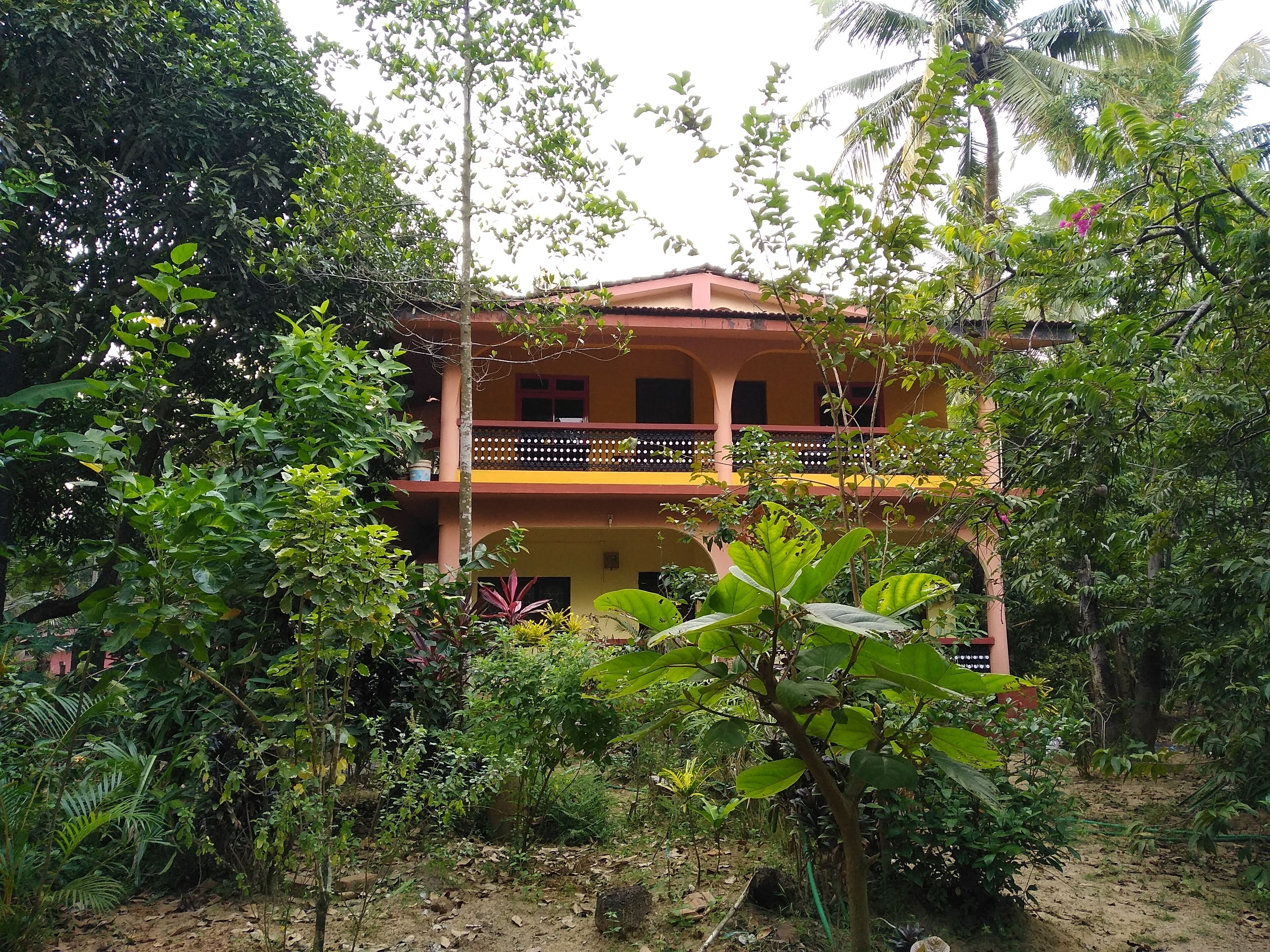 Room with a view in Per-Seraulim, Colva