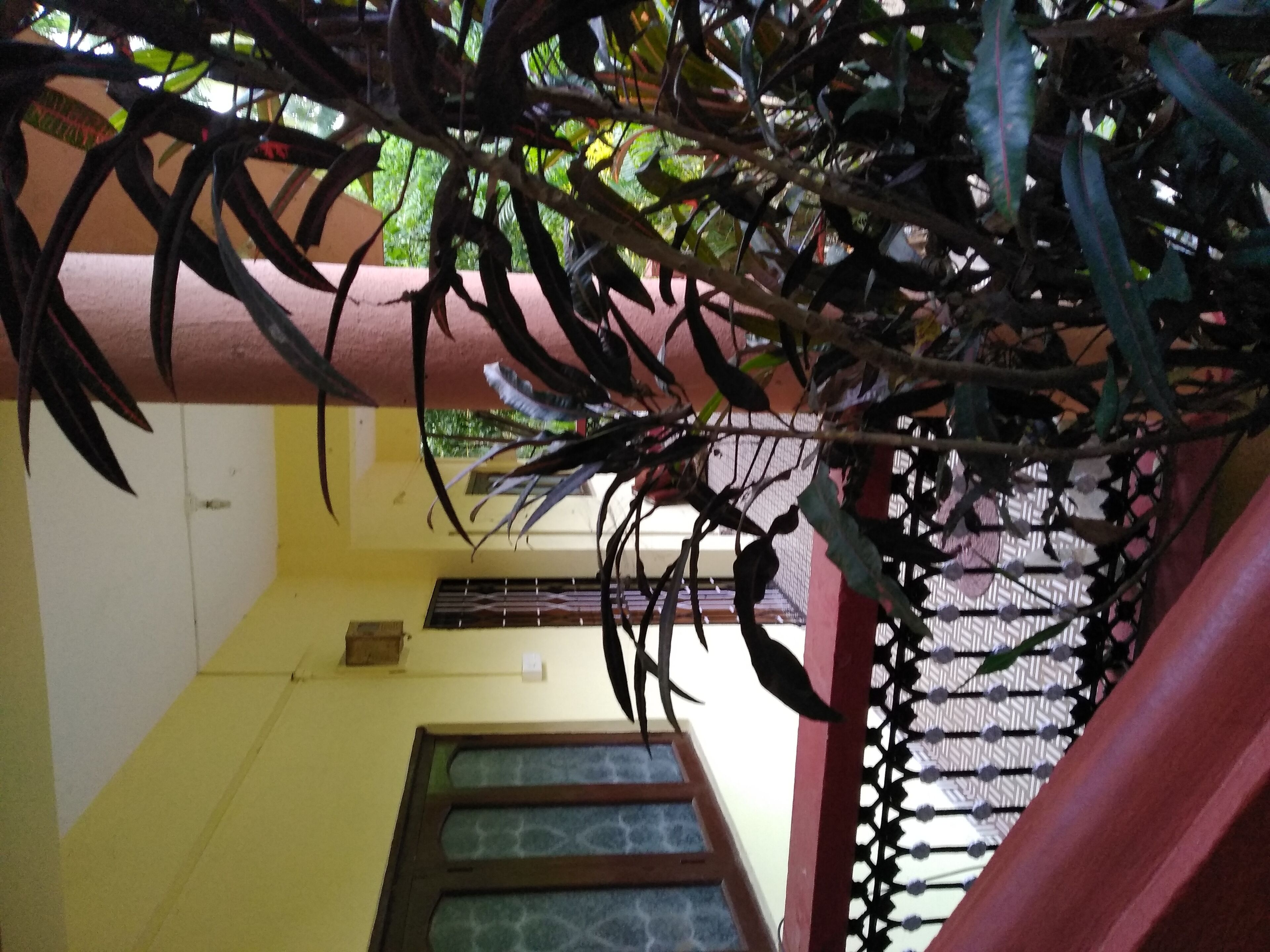 Room with a view in Per-Seraulim, Colva