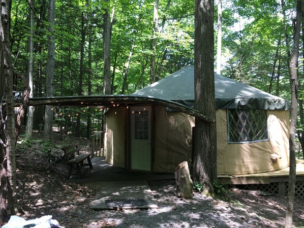 A small, single-room tent with a porch, surrounded by trees.