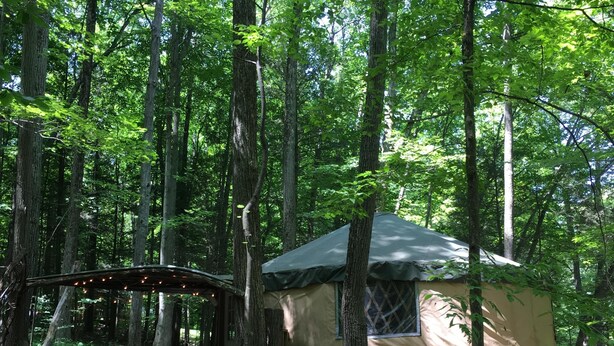 Un terrain de camping boisé avec une petite cabane d’un seul étage, une table de pique-nique et un grand récipient pour l’eau.