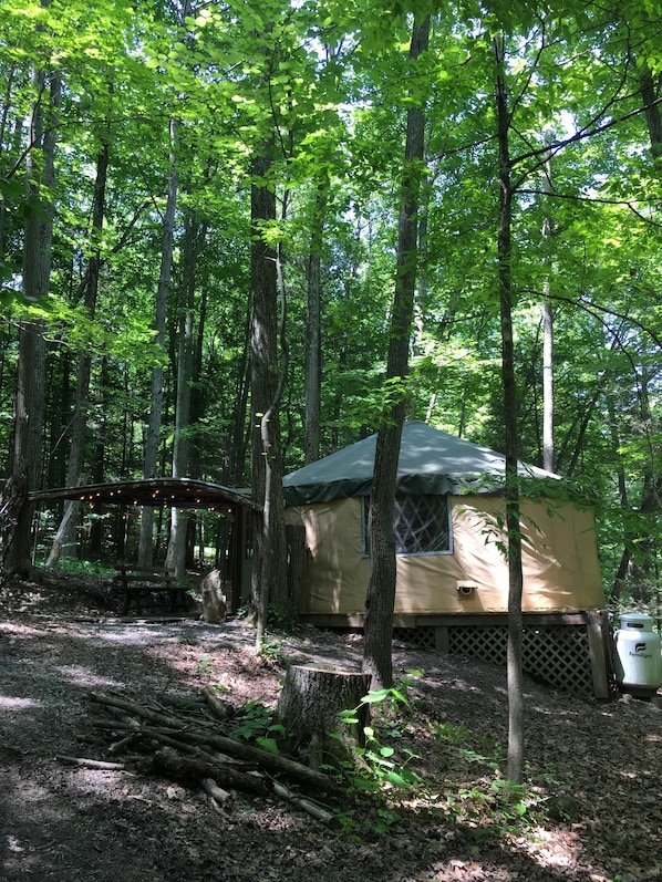 Un campamento boscoso con una cabaña pequeña de una sola planta, una mesa de picnic y un contenedor grande para agua.