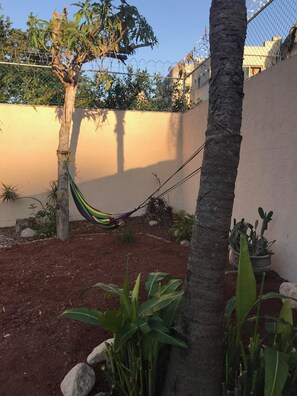 Property grounds - CASA BALAM: Guayabitos! beautiful house with private pool (Rincón de Guayabitos)