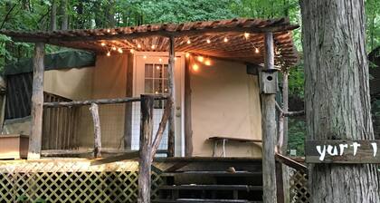 Spacious, airy yurt for glamping in comfort!