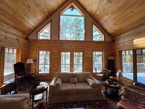 Smart-TV, Kamin, Videospiele, DVD-Player