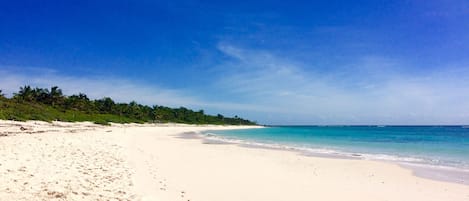 Serviettes de plage
