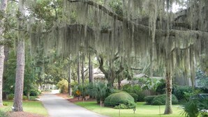 A tree-lined driveway leading to a house with a well-maintained lawn and a mailbox. - Eternal Summer 2-bedroom villa steps to Coligny Beach and Plaza (Hilton Head Island)