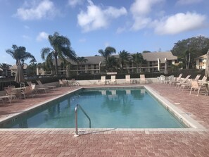 Relax by the pool surrounded by palm trees and lounge chairs.
