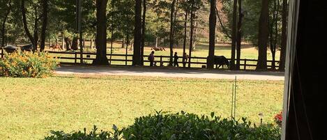 Jardines del alojamiento