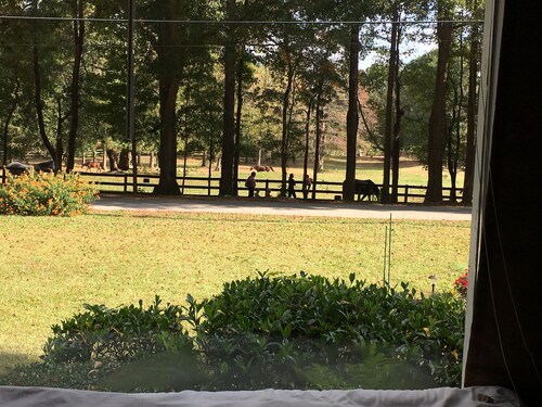 Perfect location!! Amazing view! Country serenity & mins to ATL and FIFA events!